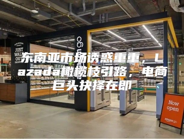 东南亚市场诱惑重重，Lazada橄榄枝引路，电商巨头抉择在即