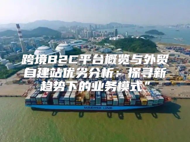 跨境B2C平台概览与外贸自建站优劣分析：探寻新趋势下的业务模式”