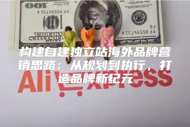构建自建独立站海外品牌营销思路：从规划到执行，打造品牌新纪元