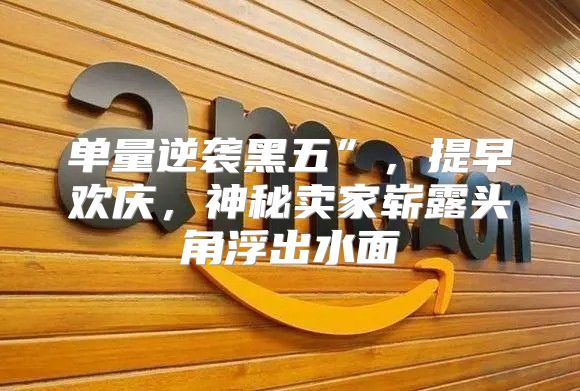 单量逆袭黑五”，提早欢庆，神秘卖家崭露头角浮出水面