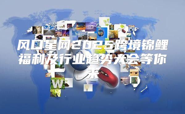 风口星网2025跨境锦鲤福利及行业趋势大会等你来