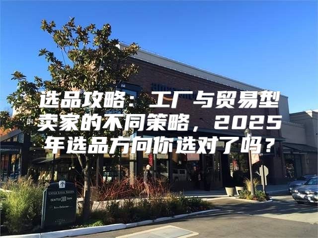选品攻略：工厂与贸易型卖家的不同策略，2025年选品方向你选对了吗？