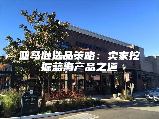亚马逊选品策略：卖家挖掘蓝海产品之道