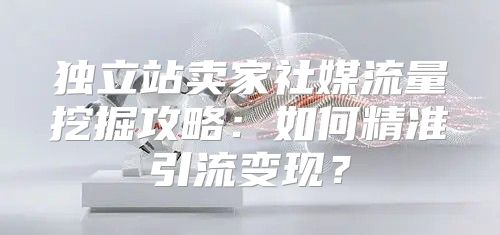 独立站卖家社媒流量挖掘攻略：如何精准引流变现？