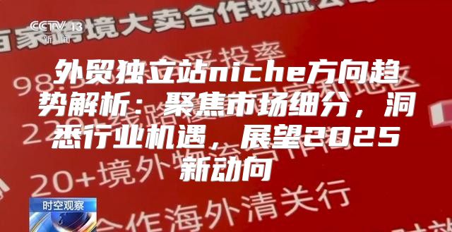 外贸独立站niche方向趋势解析：聚焦市场细分，洞悉行业机遇，展望2025新动向