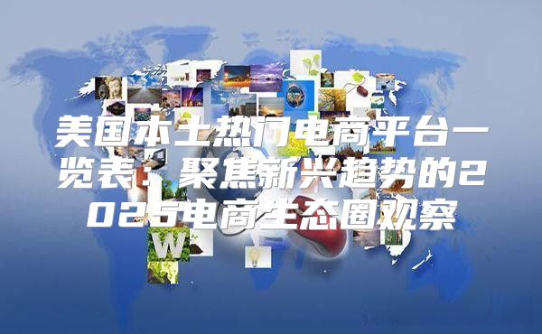美国本土热门电商平台一览表：聚焦新兴趋势的2025电商生态圈观察