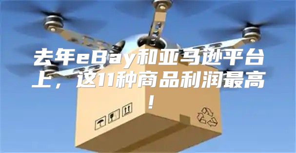 去年eBay和亚马逊平台上，这11种商品利润最高！