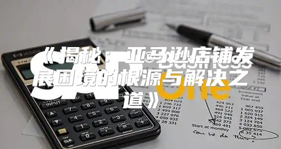 揭秘：亚马逊店铺发展困境的根源与解决之道