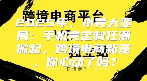 2025年，小壳大变局：手机壳定制狂潮掀起，跨境电商新宠，你心动了吗？