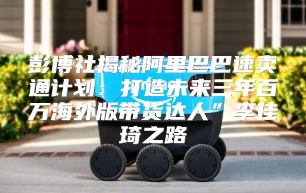 彭博社揭秘阿里巴巴速卖通计划：打造未来三年百万海外版带货达人”李佳琦之路