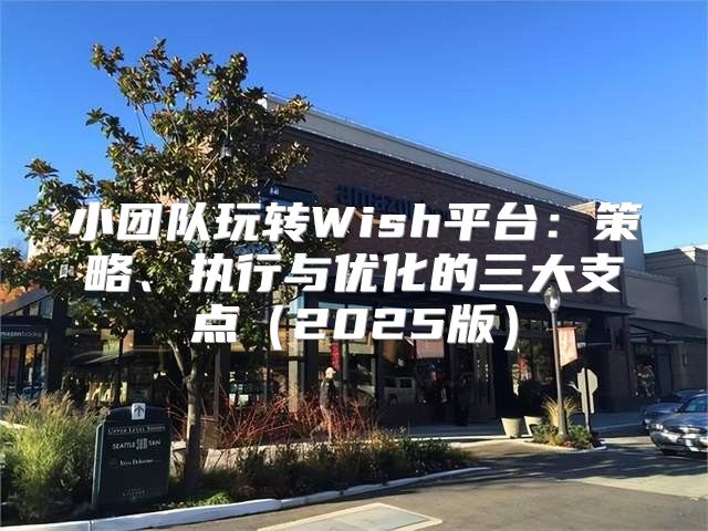 小团队玩转Wish平台：策略、执行与优化的三大支点2025版