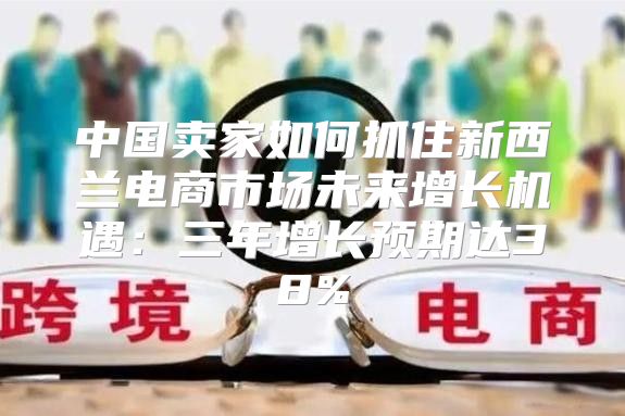 中国卖家如何抓住新西兰电商市场未来增长机遇：三年增长预期达38%