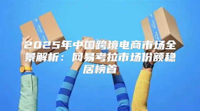 2025年中国跨境电商市场全景解析：网易考拉市场份额稳居榜首