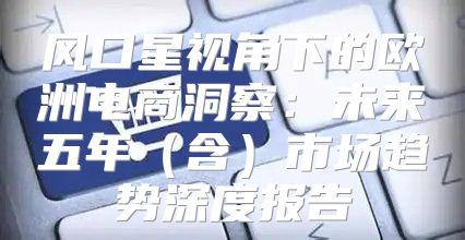 风口星视角下的欧洲电商洞察：未来五年含市场趋势深度报告
