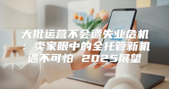 大批运营不会遭失业危机：卖家眼中的全托管新机遇不可怕 2025展望
