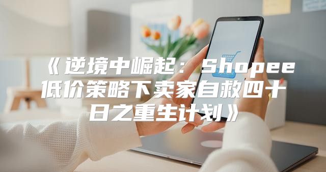 逆境中崛起：Shopee低价策略下卖家自救四十日之重生计划