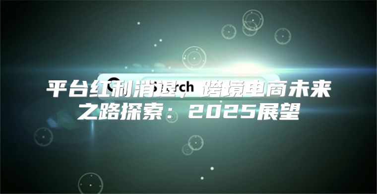 平台红利消退，跨境电商未来之路探索：2025展望