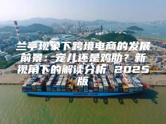 兰亭现象下跨境电商的发展前景：宠儿还是鸡肋？新视角下的解读分析 2025版