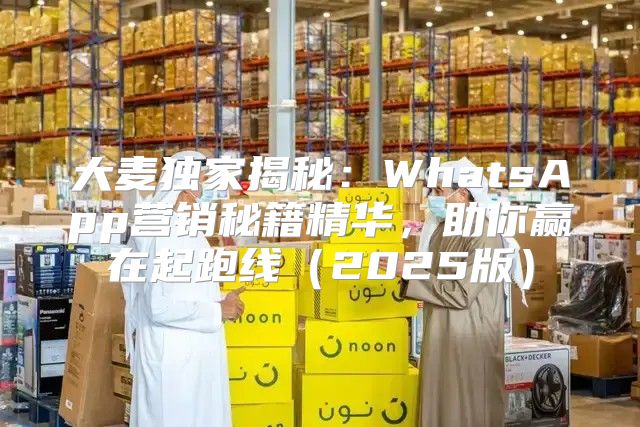 大麦独家揭秘：WhatsApp营销秘籍精华，助你赢在起跑线2025版