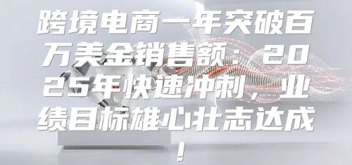 跨境电商一年突破百万美金销售额：2025年快速冲刺，业绩目标雄心壮志达成！