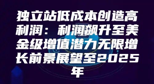 独立站低成本创造高利润：利润飙升至美金级增值潜力无限增长前景展望至2025年
