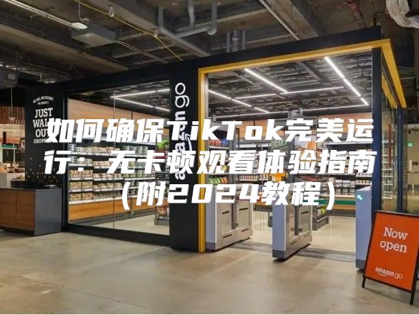 如何确保TikTok完美运行：无卡顿观看体验指南附2025教程