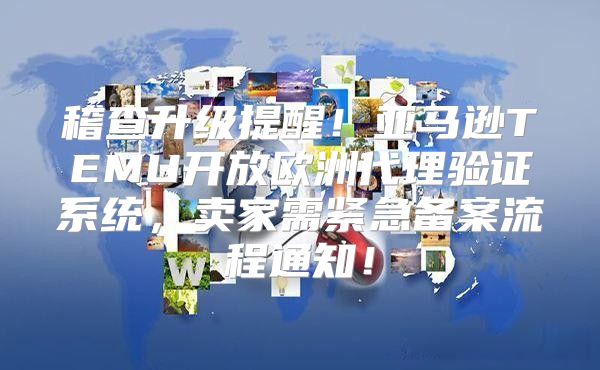 稽查升级提醒！亚马逊TEMU开放欧洲代理验证系统，卖家需紧急备案流程通知！