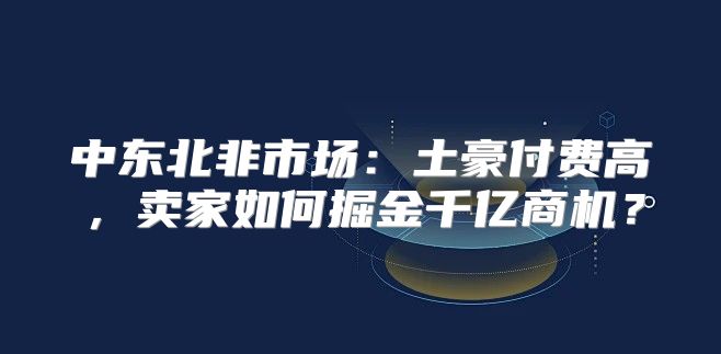 中东北非市场：土豪付费高，卖家如何掘金千亿商机？