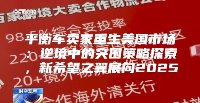平衡车卖家重生美国市场：逆境中的突围策略探索，新希望之翼展向2025