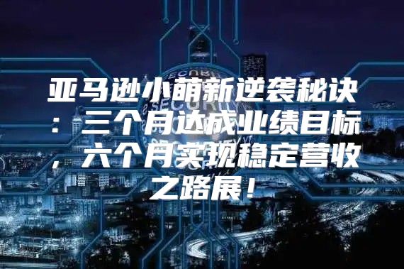 亚马逊小萌新逆袭秘诀：三个月达成业绩目标，六个月实现稳定营收之路展！