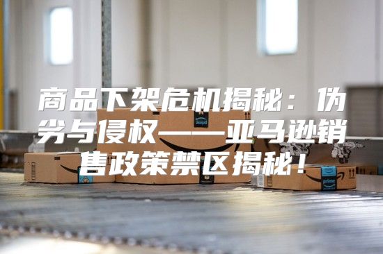 商品下架危机揭秘：伪劣与侵权——亚马逊销售政策禁区揭秘！
