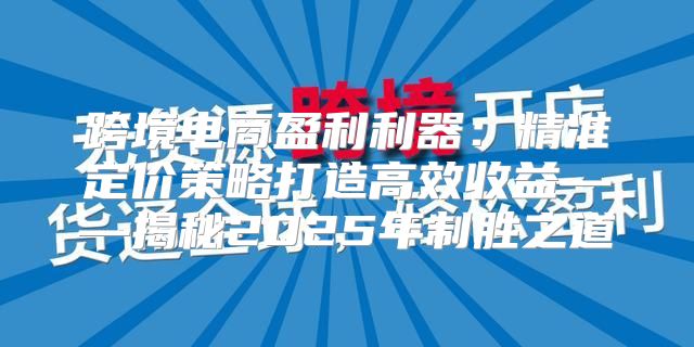 跨境电商盈利利器：精准定价策略打造高效收益——揭秘2025年制胜之道