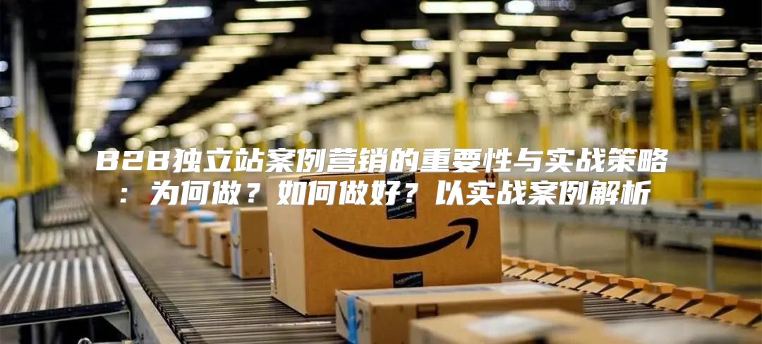 B2B独立站案例营销的重要性与实战策略：为何做？如何做好？以实战案例解析