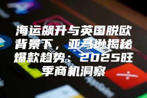 海运飙升与英国脱欧背景下，亚马逊揭秘爆款趋势：2025旺季商机洞察
