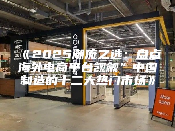2025潮流之选：盘点海外电商平台觊觎”中国制造的十二大热门市场