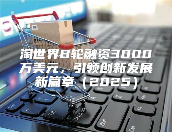 淘世界B轮融资3000万美元，引领创新发展新篇章2025