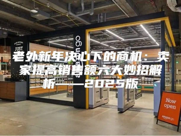 老外新年决心下的商机：卖家提高销售额六大妙招解析——2025版