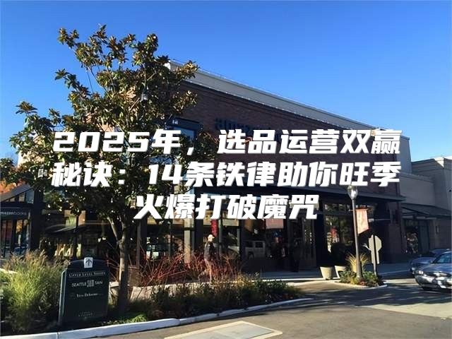 2025年，选品运营双赢秘诀：14条铁律助你旺季火爆打破魔咒