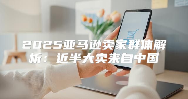 2025亚马逊卖家群体解析：近半大卖来自中国