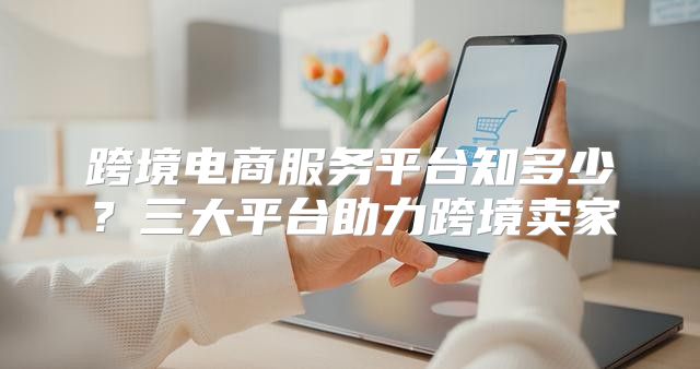 跨境电商服务平台知多少？三大平台助力跨境卖家