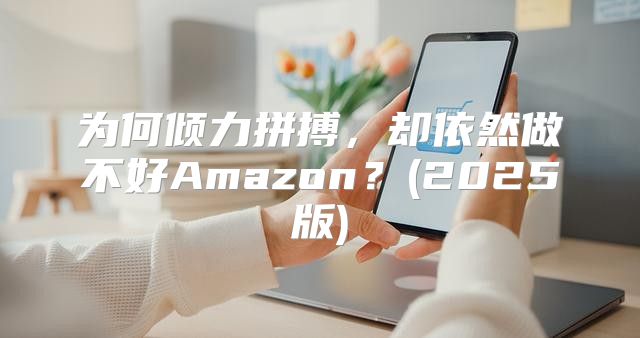 为何倾力拼搏，却依然做不好Amazon？(2025版)