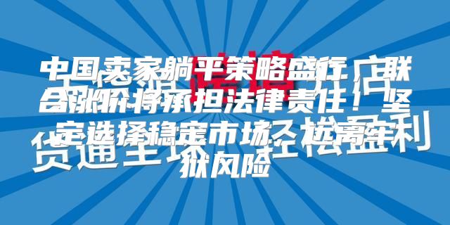 中国卖家躺平策略盛行，联合涨价将承担法律责任！坚定选择稳定市场，远离牢狱风险