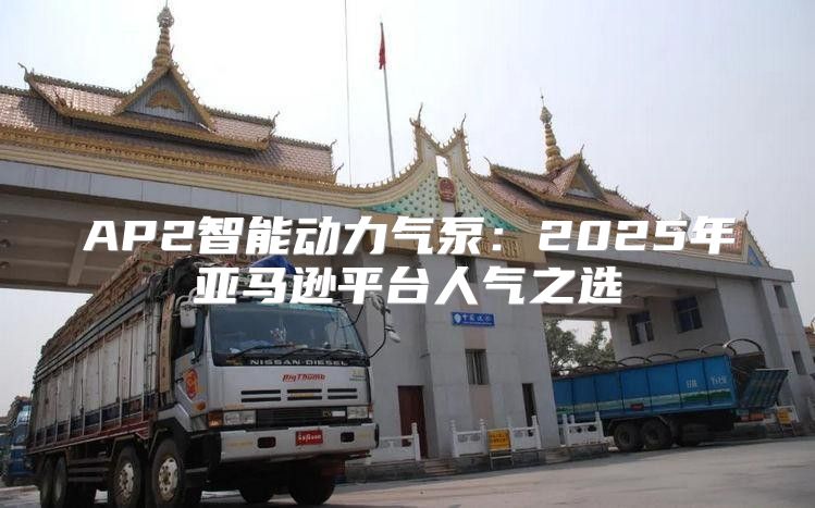 AP2智能动力气泵：2025年亚马逊平台人气之选