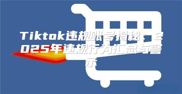 Tiktok违规账号揭秘：2025年违规行为汇总与警示