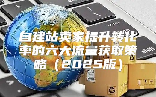自建站卖家提升转化率的六大流量获取策略2025版