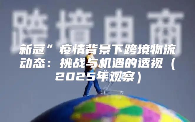 新冠”疫情背景下跨境物流动态：挑战与机遇的透视2025年观察
