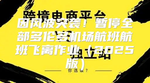 因風(fēng)波突襲！暫停全部多倫多機場航班航班飛離作業(yè)2025版