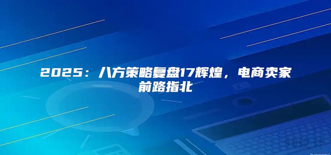 2025八方策略复盘17辉煌，电商卖家前路指北