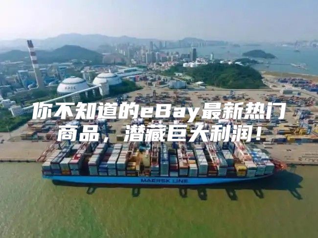 你不知道的eBay最新热门商品，潜藏巨大利润！