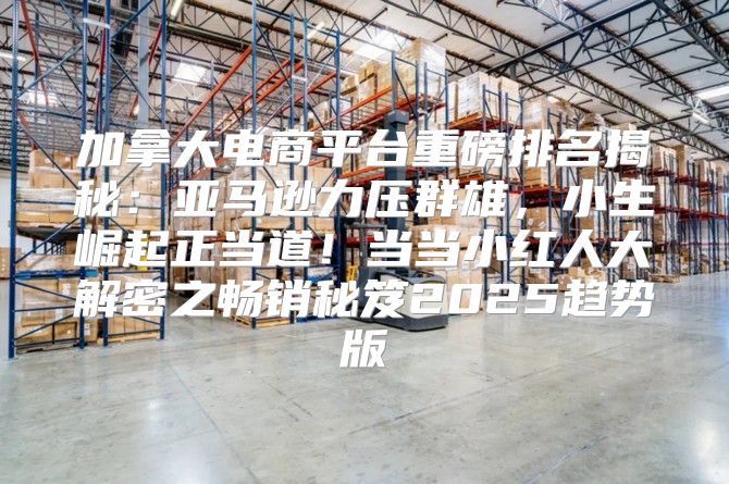 加拿大电商平台重磅排名揭秘：亚马逊力压群雄，小生崛起正当道！当当小红人大解密之畅销秘笈2025趋势版